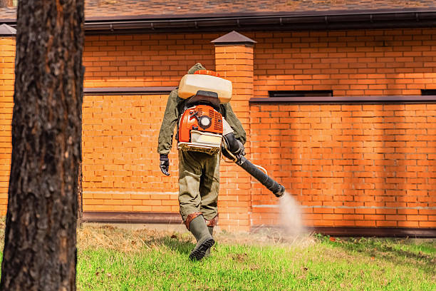 Bed Bug Clearance Verification and Documentation in Delhi Hills